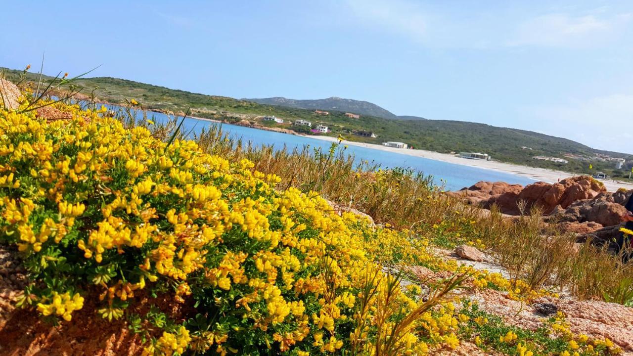 Trinità dʼAgultu Casa Vacanza Costa Rossa Vista Mare מראה חיצוני תמונה