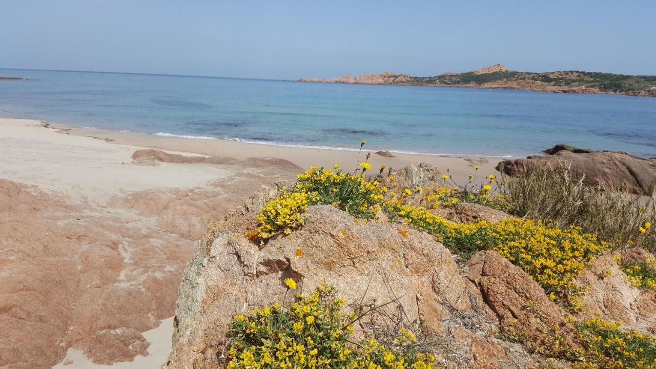 Trinità dʼAgultu Casa Vacanza Costa Rossa Vista Mare מראה חיצוני תמונה